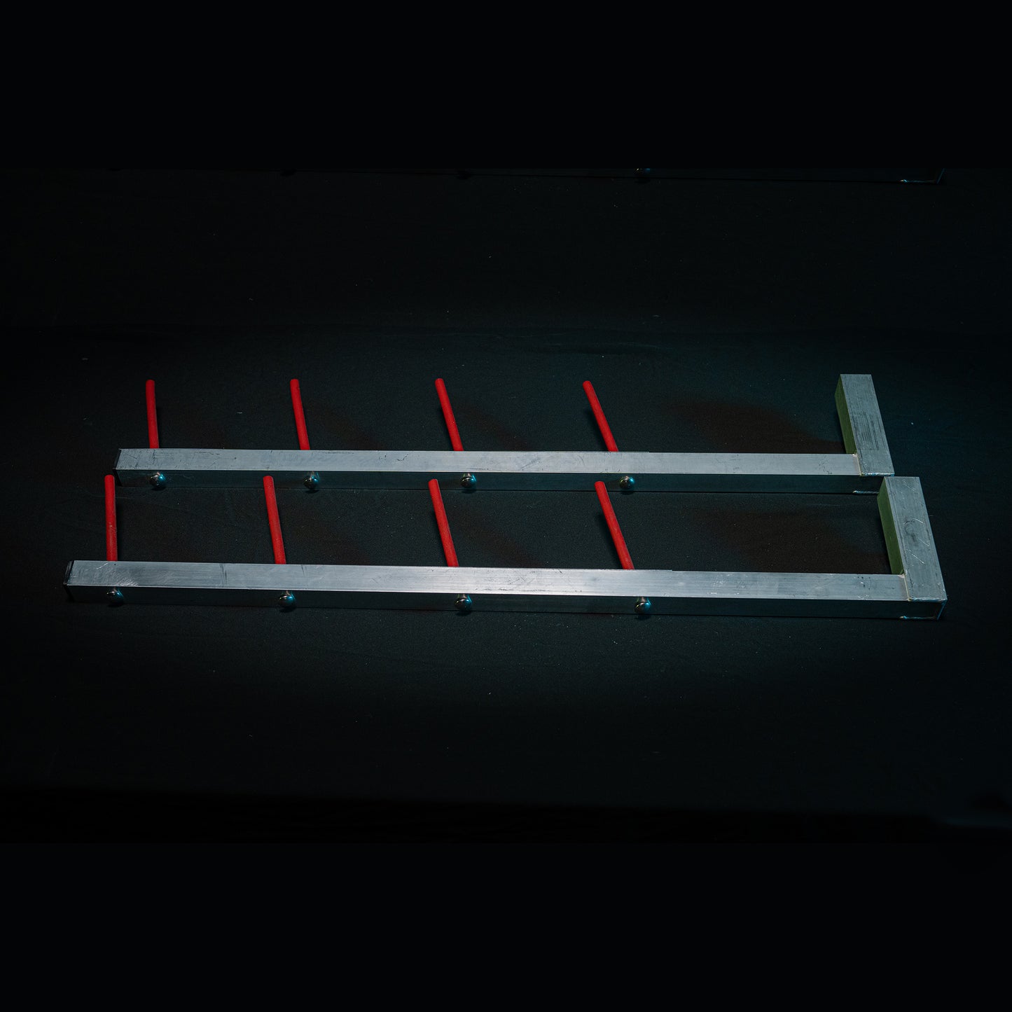 Tunemeister 5000 Ski Racks (2)